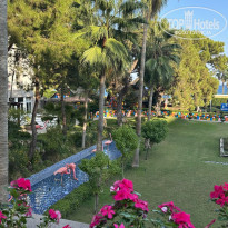 фото из отзыва ID 2564301