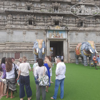 фото из отзыва ID 2560729