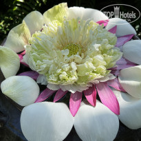 фото из отзыва ID 2564340