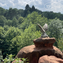 фото из отзыва ID 2564334