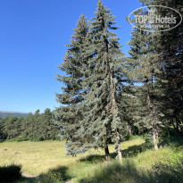 фото из отзыва ID 2564334