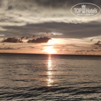 фото из отзыва ID 2564586