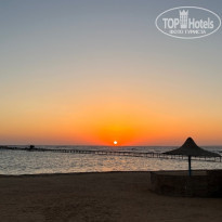 фото из отзыва ID 2564806