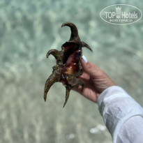 фото из отзыва ID 2565055