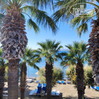 фото из отзыва ID 2565036