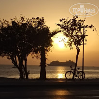 фото из отзыва ID 2565196