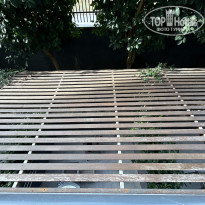 фото из отзыва ID 2565241