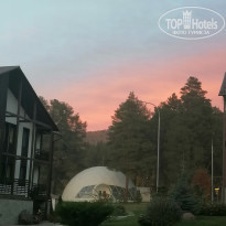 фото из отзыва ID 2565240