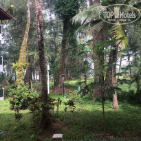 фото из отзыва ID 2565273