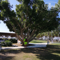 фото из отзыва ID 2565267