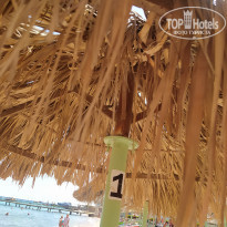 фото из отзыва ID 2565050