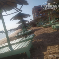 фото из отзыва ID 2565050