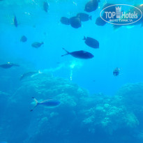 фото из отзыва ID 2565450