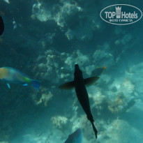 фото из отзыва ID 2565450