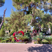 фото из отзыва ID 2565482