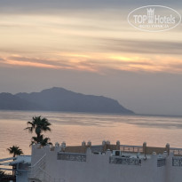 фото из отзыва ID 2565491