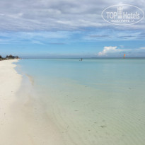 фото из отзыва ID 2565514