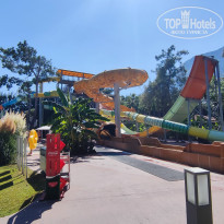 фото из отзыва ID 2563208