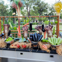 фото из отзыва ID 2563208