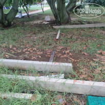 фото из отзыва ID 2565535