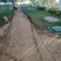 фото из отзыва ID 2565535