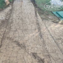 фото из отзыва ID 2565535