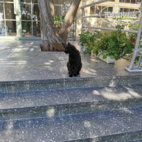 фото из отзыва ID 2565590