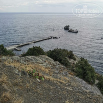 фото из отзыва ID 2565590