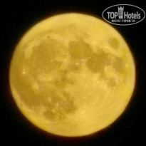 фото из отзыва ID 2565590