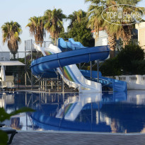 фото из отзыва ID 2564951