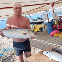 фото из отзыва ID 2565797