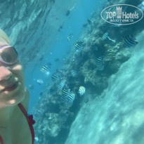 фото из отзыва ID 2566000