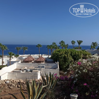 фото из отзыва ID 2566031