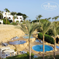 фото из отзыва ID 2566031