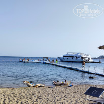 фото из отзыва ID 2566031