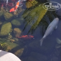 фото из отзыва ID 2565718