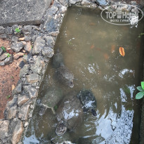 фото из отзыва ID 2565741