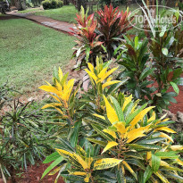 фото из отзыва ID 2565741