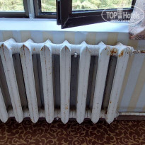 фото из отзыва ID 2566462