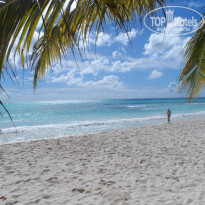 фото из отзыва ID 2566337