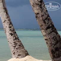 фото из отзыва ID 2566337