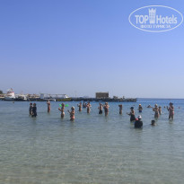 фото из отзыва ID 2566476