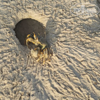 фото из отзыва ID 2566545