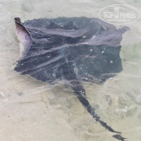 фото из отзыва ID 2566545