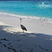 фото из отзыва ID 2566545