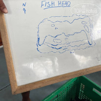 фото из отзыва ID 2566545