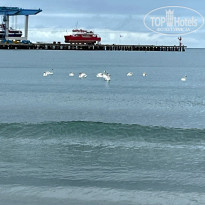 фото из отзыва ID 2566611