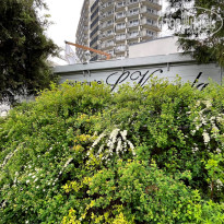 фото из отзыва ID 2566611