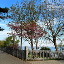 фото из отзыва ID 2566611