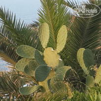 фото из отзыва ID 2566646